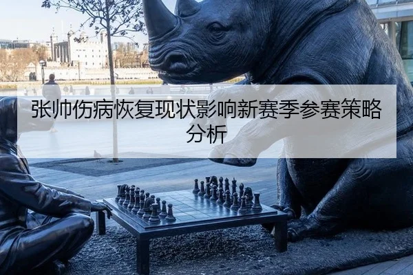 张帅伤病恢复现状影响新赛季参赛策略分析